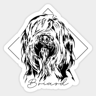 Briard Berger dog Portrait Sticker